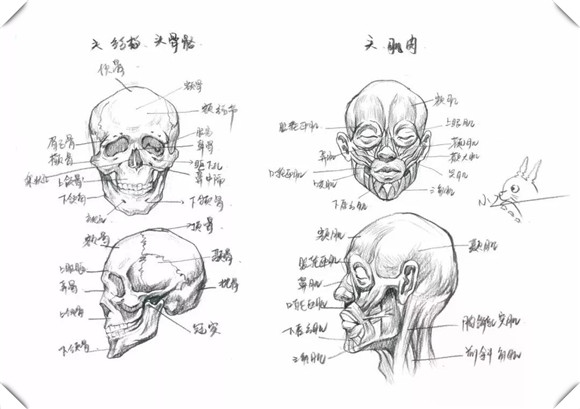 速写教学