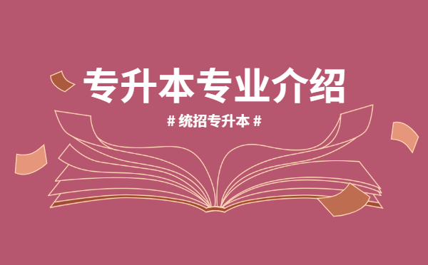 闽南科技学院专升本专业介绍――广告学