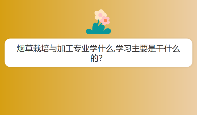 烟草栽培与加工专业学什么,学习主要是干什么的？