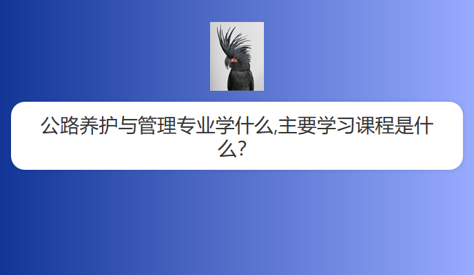 公路养护与管理专业学什么,主要学习课程是什么？