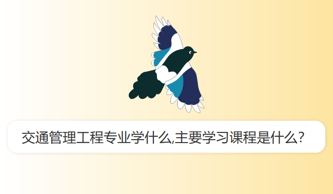 交通管理工程专业学什么,主要学习课程是什么？