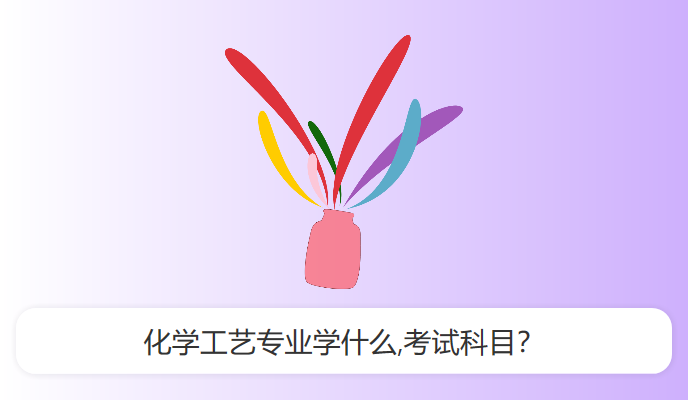 化学工艺专业学什么,考试科目？