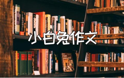 关于小白兔的作文750字范文 关于小白兔的作文通用模板