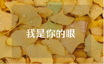 《妈妈，我是你的眼》读书笔记范文 《妈妈，我是你的眼》赏析合集