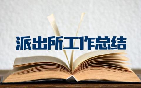 派出所工作总结及下一年工作计划 派出所工作总结存在的问题和不足