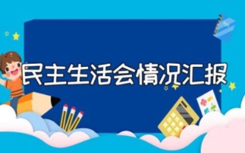 镇党政班子民主生活会情况汇报总结报告范文