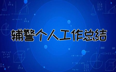 2023年度辅警个人工作总结8篇