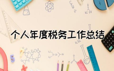 2023年个人年度税务工作总结5篇