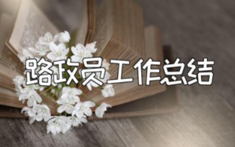 2023年路政员工作总结 路政员自我工作鉴定范文