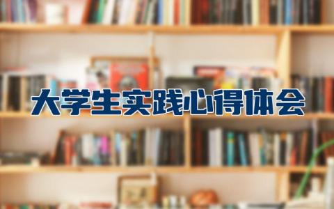 大学生实践心得体会