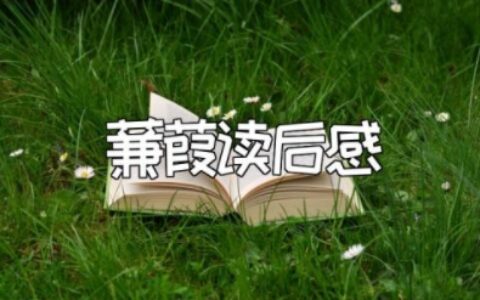 《蒹葭》读后感 对《蒹葭》的理解和感悟