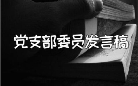 党支部委员发言稿精选范文 党支部组织委员讲话稿模板