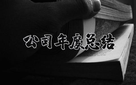 公司年度总结报告精选范文 企业年终工作汇报通用模板