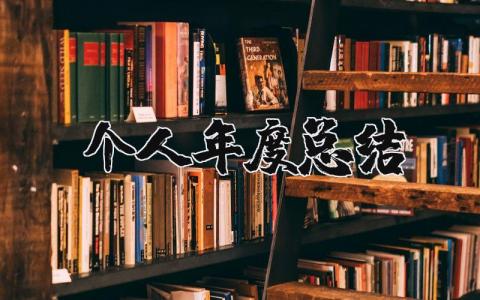 个人年度总结报告范文 2023个人年度总结简短精选