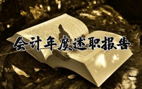 会计年度述职报告个人 会计年终工作总结报告 (3篇）