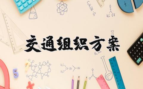 交通组织方案完整版 交通组织方案怎么写