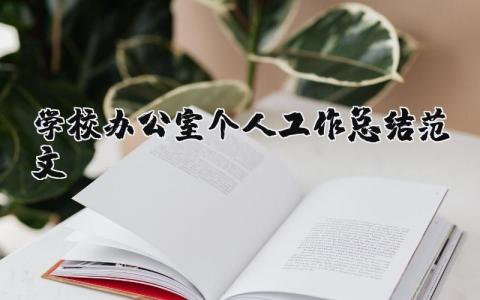 学校办公室个人工作总结范文模板 学校办公室个人工作总结范文怎么写 (12篇）