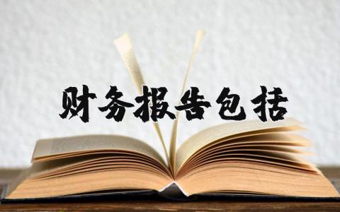 财务报告包括范文 财务报告通用内容模板 (3篇）