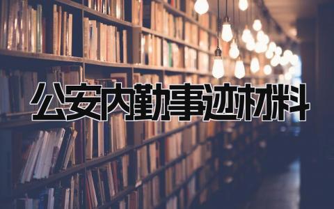 公安内勤事迹材料模板 公安内勤事迹材料范文 (8篇）