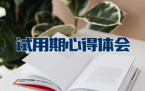 试用期心得体会