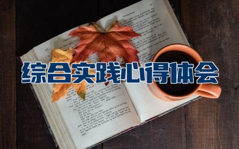 综合实践心得体会