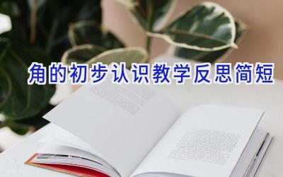 角的初步认识教学反思简短