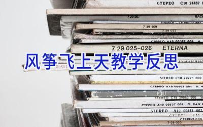风筝飞上天教学反思