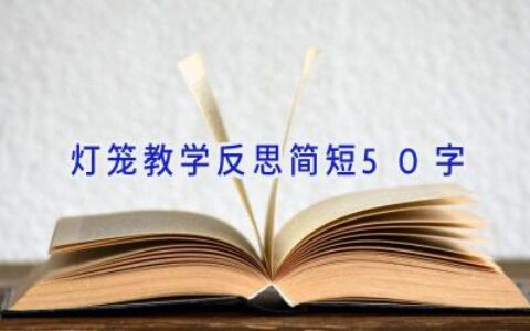 灯笼教学反思简短50字