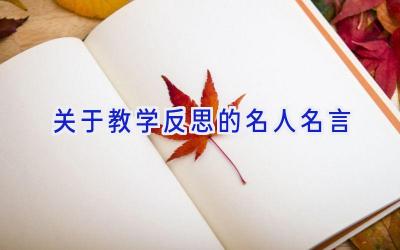 关于教学反思的名人名言