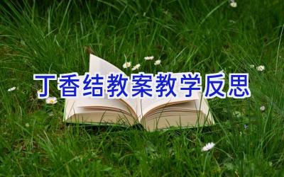 丁香结教案教学反思