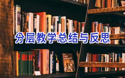 分层教学总结与反思