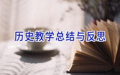 历史教学总结与反思