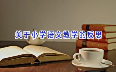 关于小学语文教学的反思