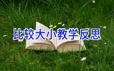 比较大小教学反思