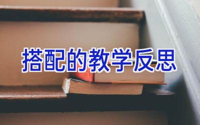 搭配的教学反思