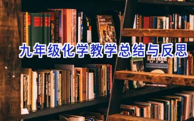 九年级化学教学总结与反思