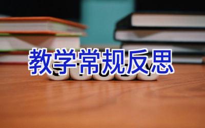 教学常规反思