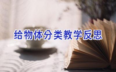 给物体分类教学反思
