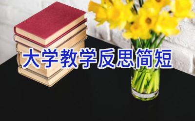大学教学反思简短