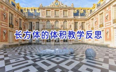 长方体的体积教学反思